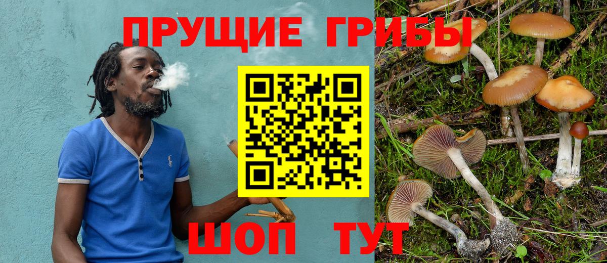Псилоцибиновые грибы Psilocybe Тольятти