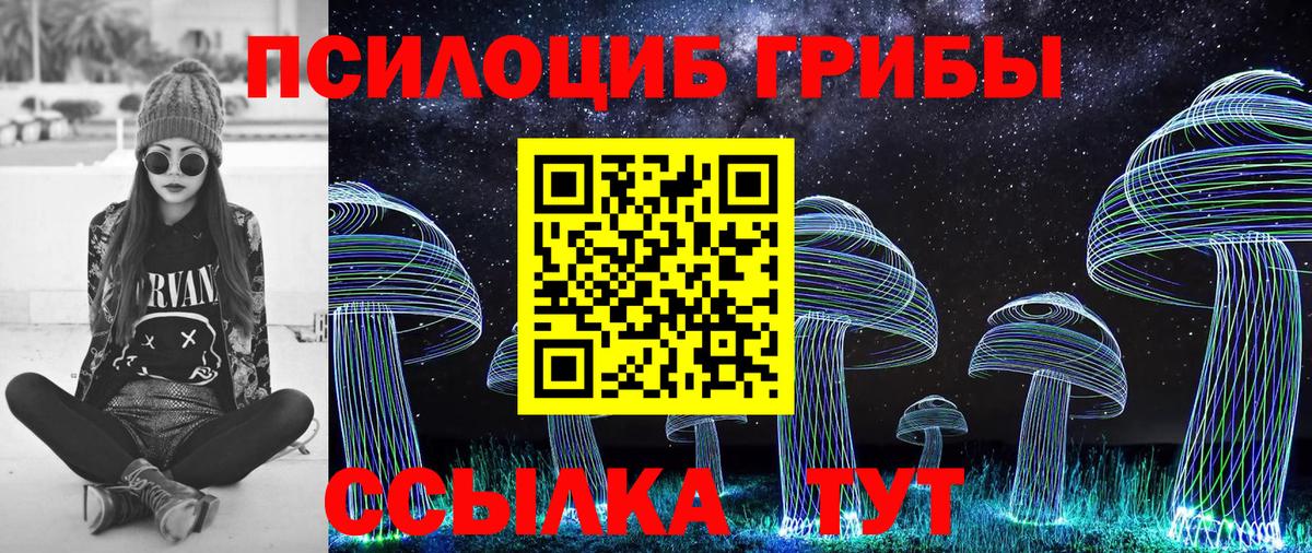 Галлюциногенные грибы MAGIC MUSHROOMS  Псилоцибиновые грибы мухоморы  Тольятти  Вход с VPN 
